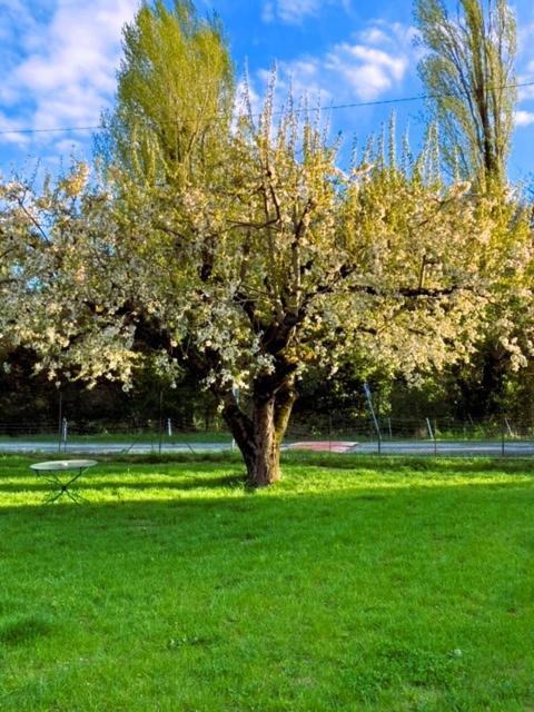 La Mirabelle - Suite Familiale De Charme En Provence Mirabeau  Dış mekan fotoğraf